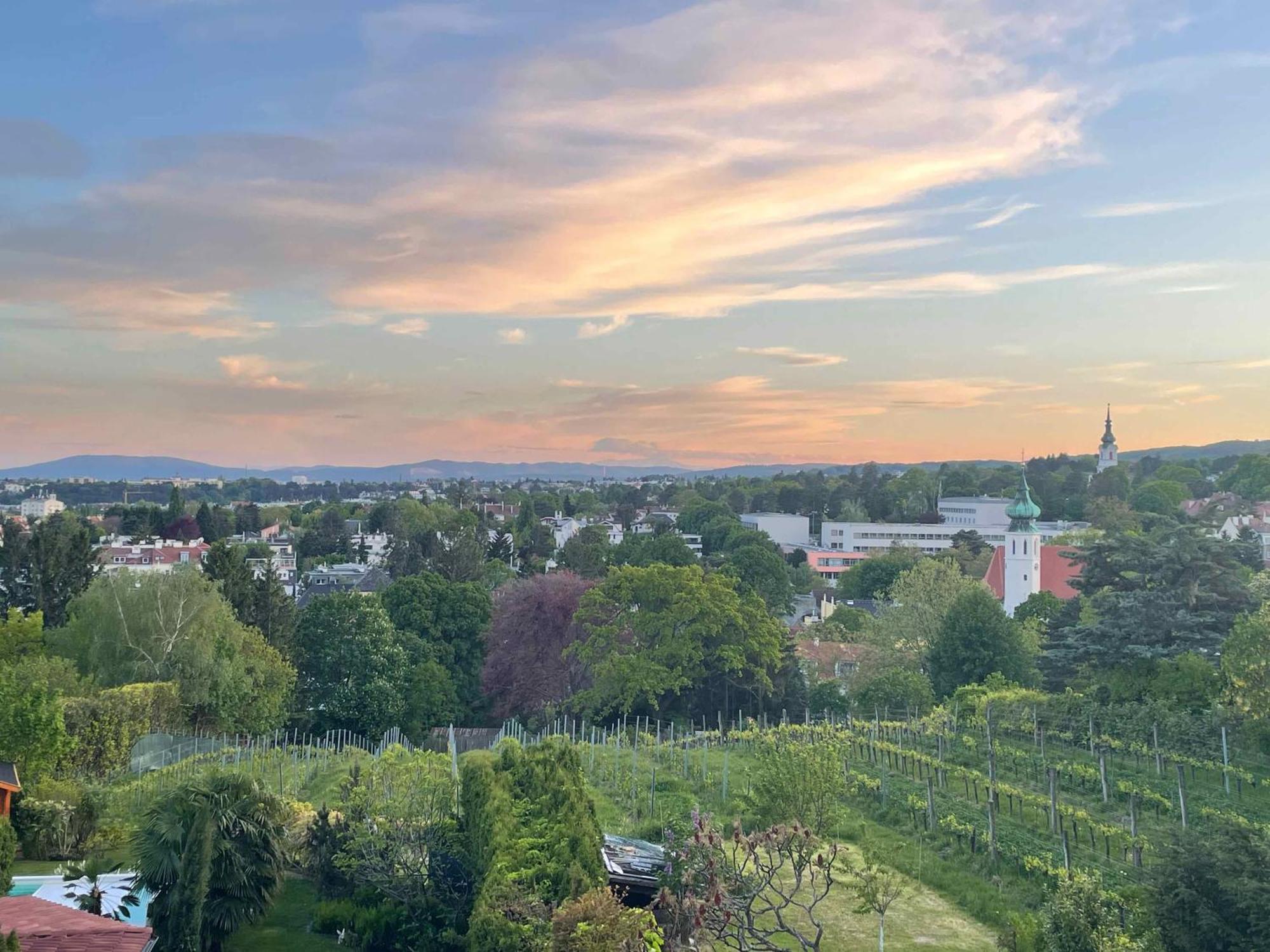 Herrlicher Ausblick Ueber Wien Esterno foto